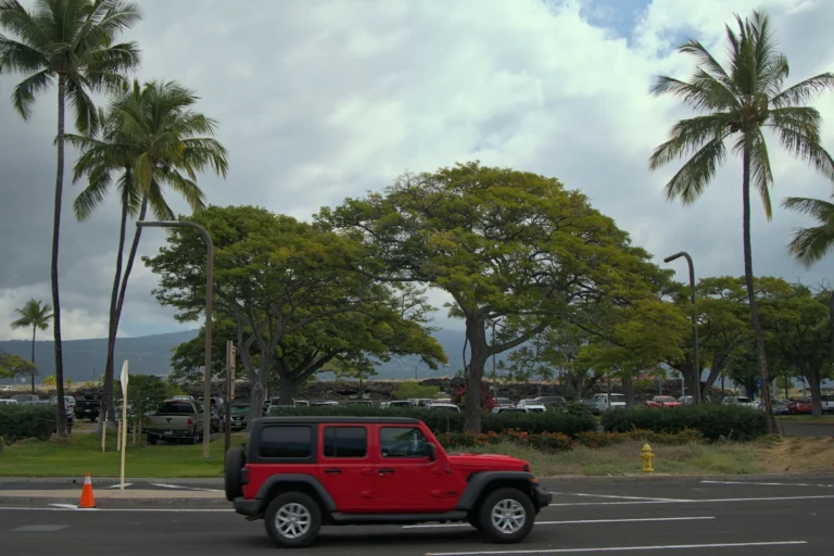 Hawaii Car Rental Crisis: Why Visitors Are Getting Creative to Get Around the Islands
