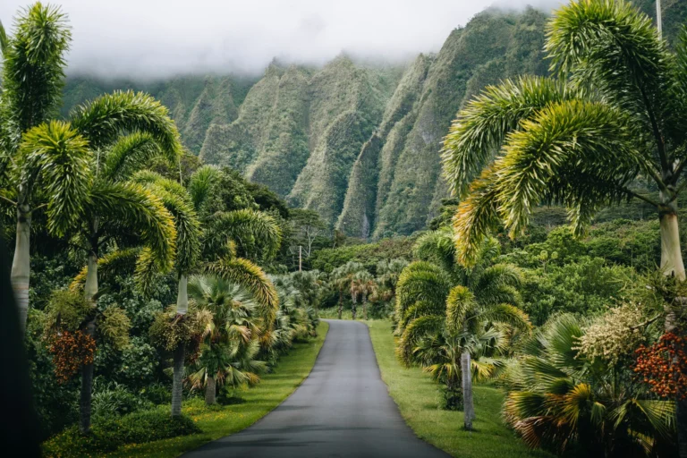Hawaii’s 2026 Vision: Housing, Climate, and Community Reform